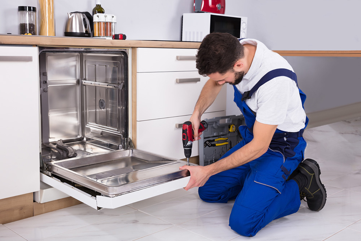 Hausgeräte-Service bei L & N  UG (haftungsbeschränkt) in Nebra