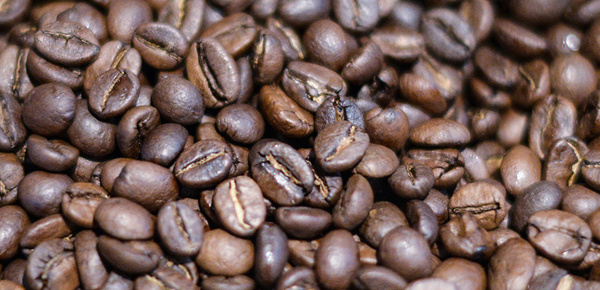 Kaffee­maschinen bei L & N  UG (haftungsbeschränkt) in Nebra